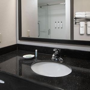 Executive King Suite